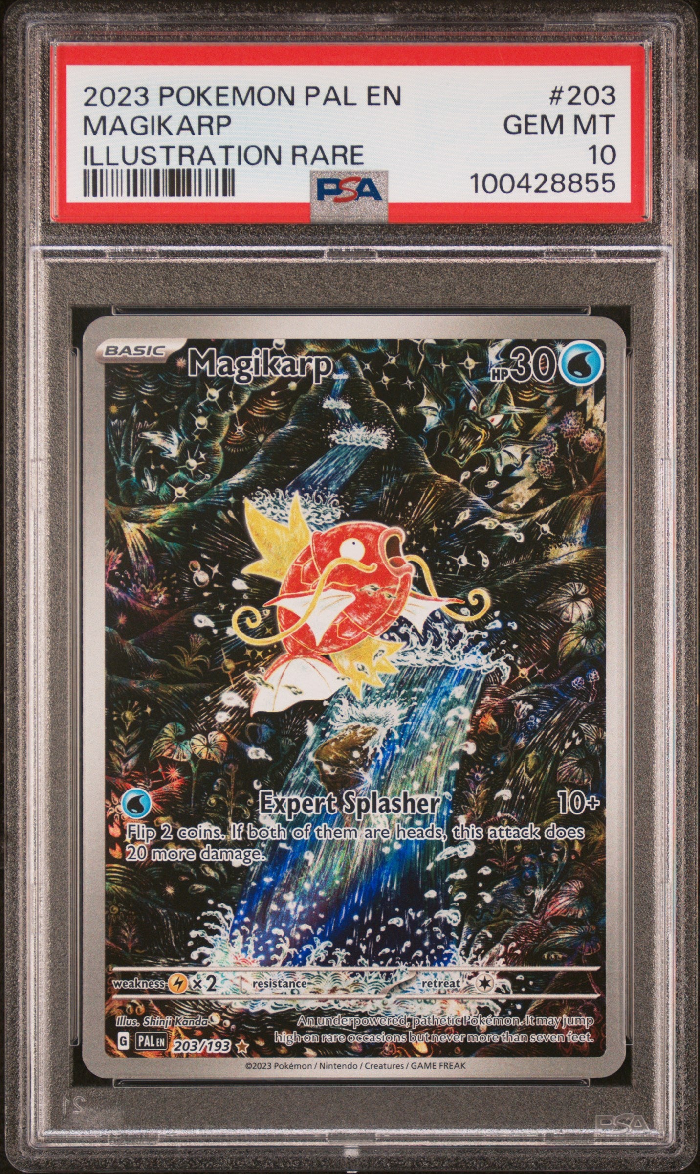 #203 MAGIKARP ILLUSTRATION RARE #203